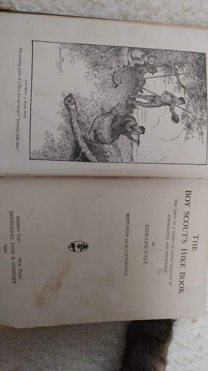 0115181510.jpg