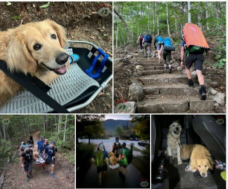 CrosbyPAWSRescue.jpg.e9f2d453852bd750d1f27a561076ccda.jpg