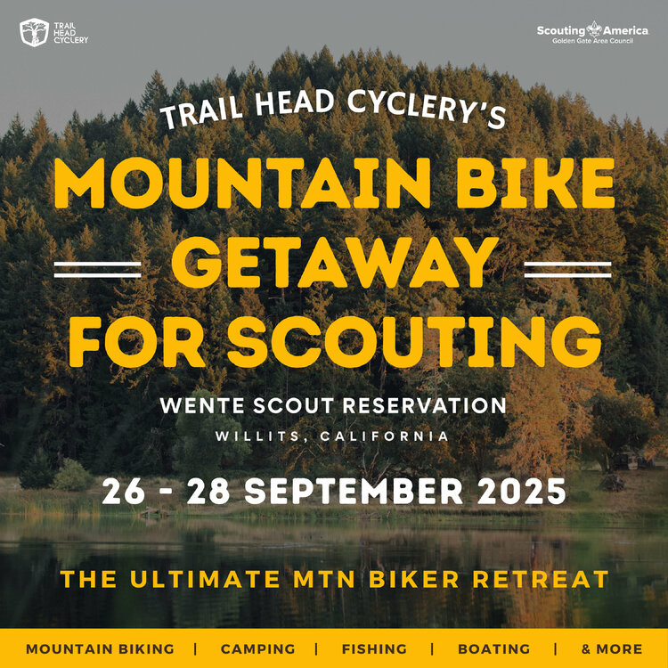 WENTE WEB AD-1.jpg